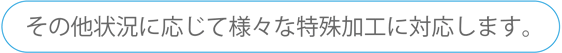 その他状況に応じて様々な特殊加工に対応します。